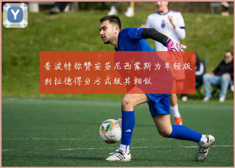 香波特称赞安芬尼西蒙斯为年轻版利拉德得分方式极其相似