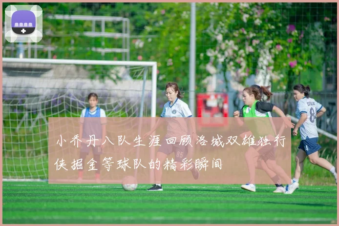 小乔丹八队生涯回顾洛城双雄独行侠掘金等球队的精彩瞬间